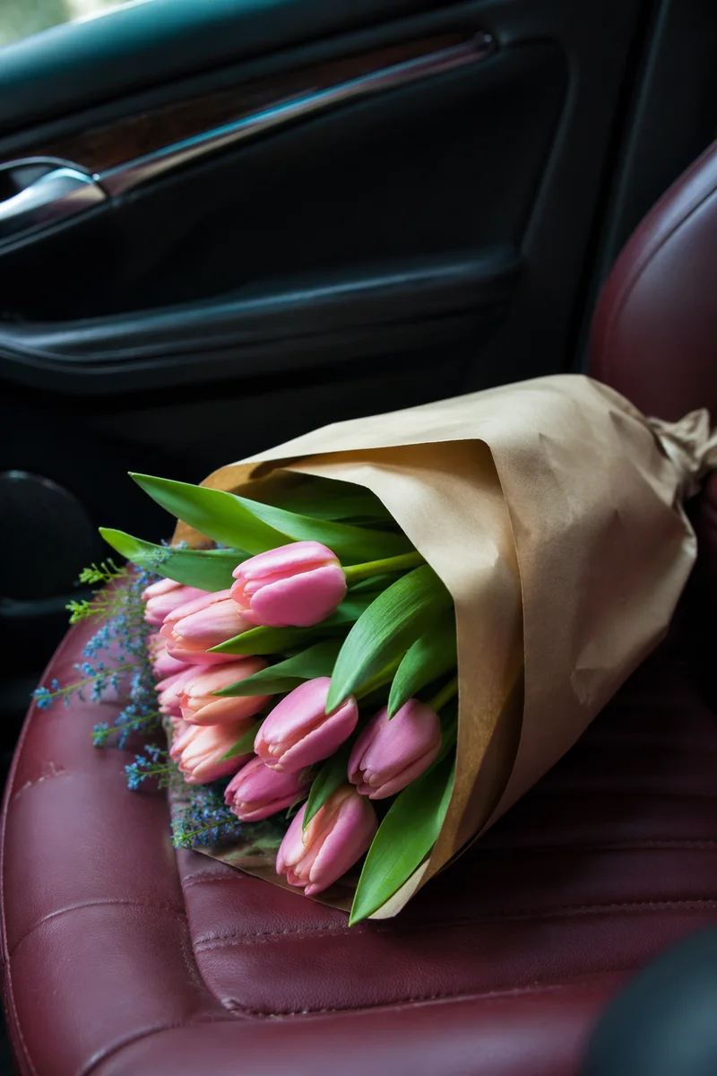Fresh Tulip Bouquet on Burgundy Car Seat