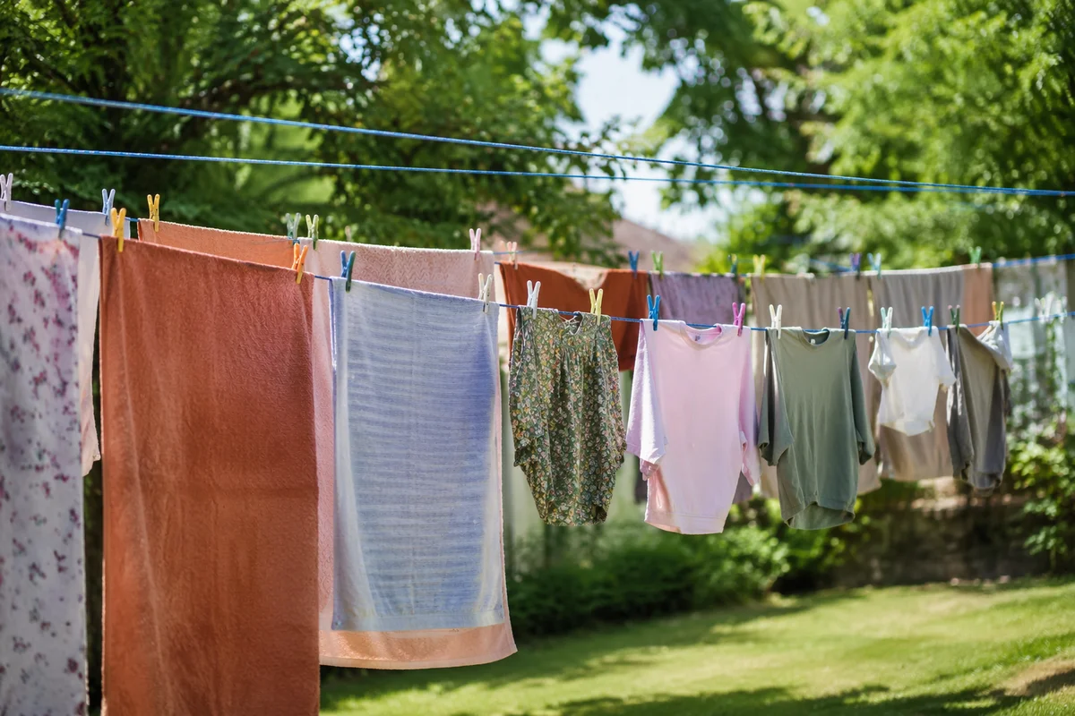 Sunlit Backyard Laundry on Clotheslines