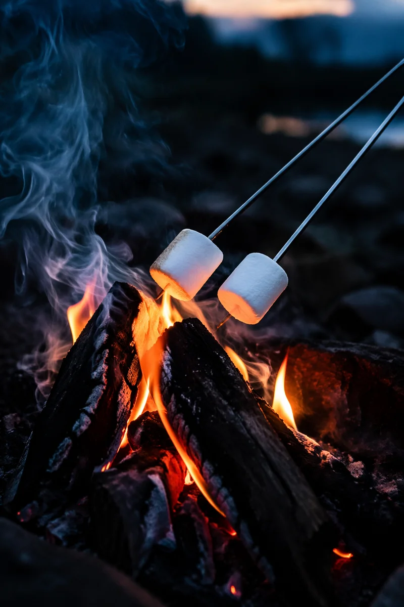 Marshmallows Roasting Over Campfire at Dusk