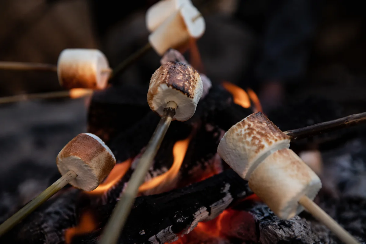 Marshmallows Roasting Over Cozy Campfire Flames