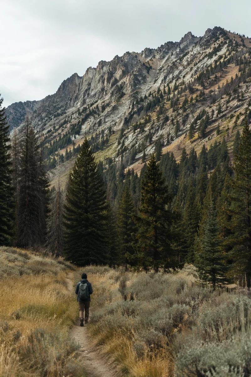 Lone Hiker on Mountain Trail