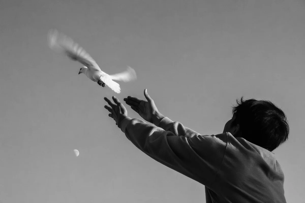 Releasing a Dove Into Open Sky