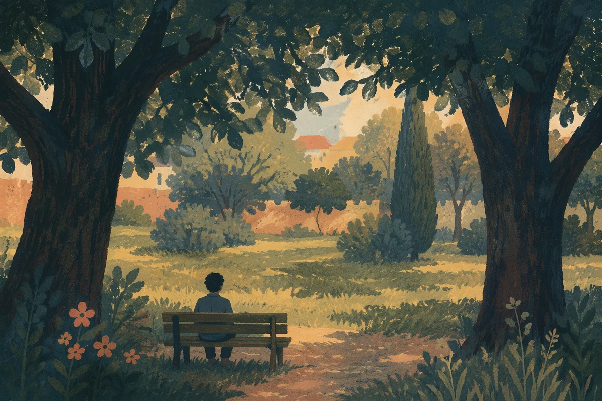 Solitary Park Bench Contemplation Under Trees