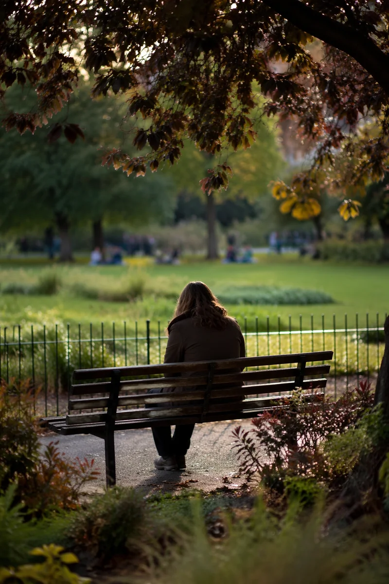 Solitary Reflection on a Park Bench