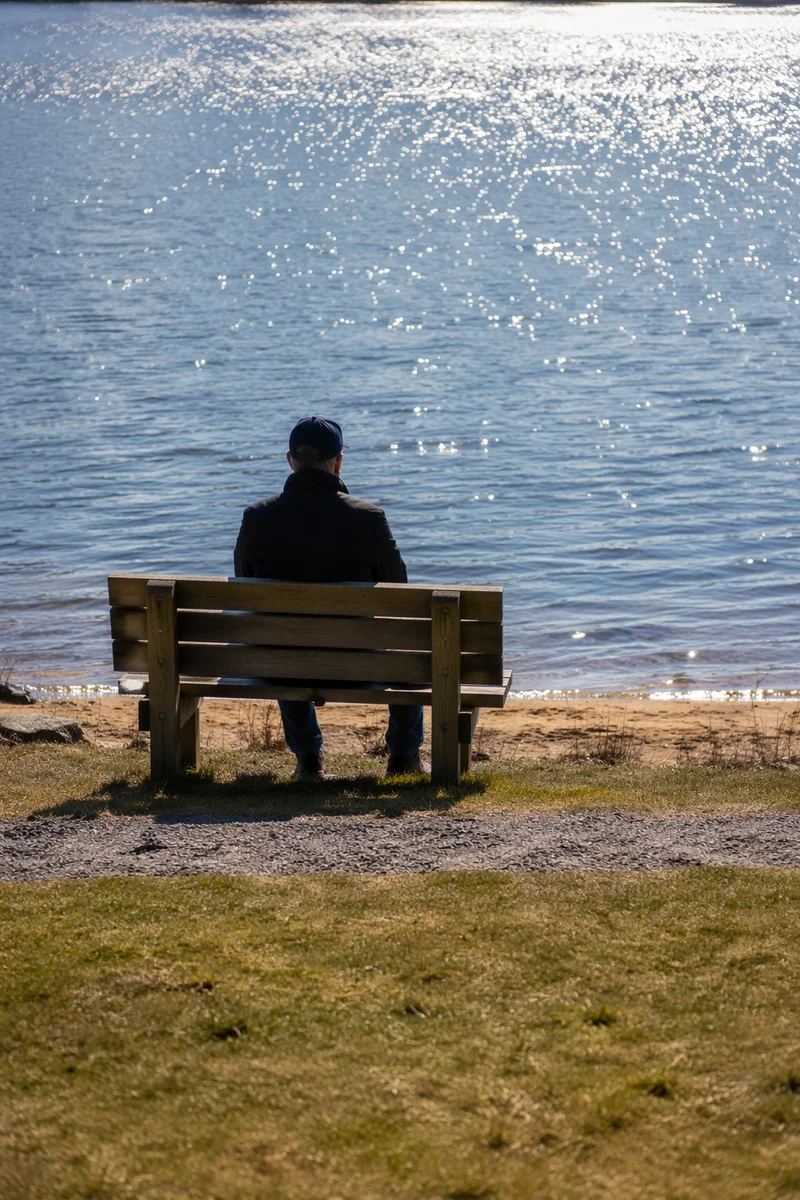 Solitary Lakeside Bench Reflection