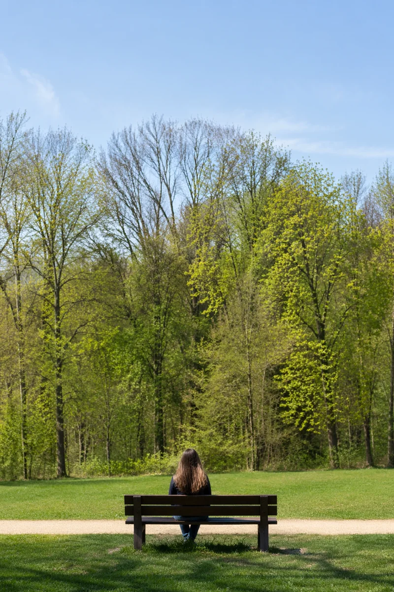 Solitary Park Bench Contemplation in Spring