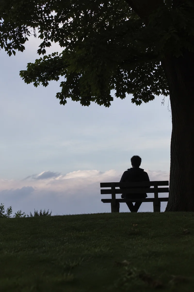 Solitary Reflection on a Park Bench