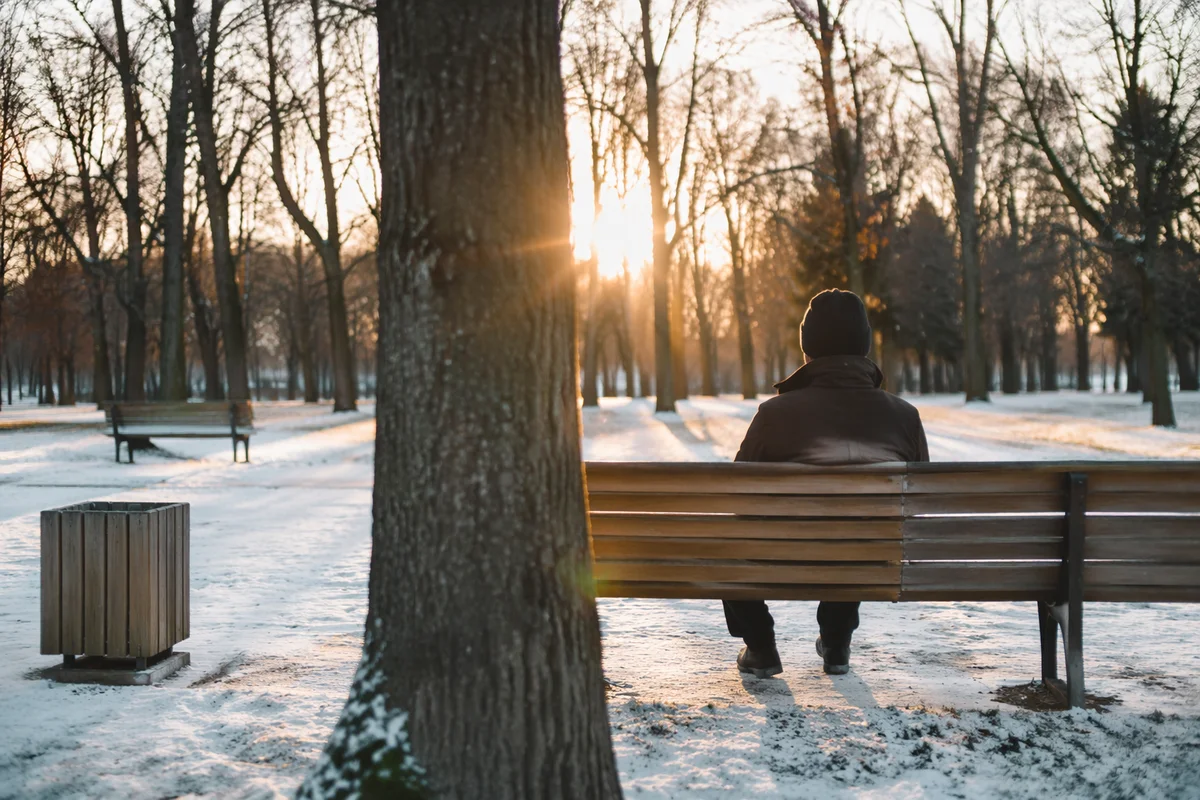 Solitary Winter Park Bench Contemplation