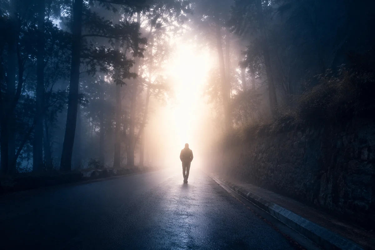 Silhouetted Walker Entering Morning Fog Light