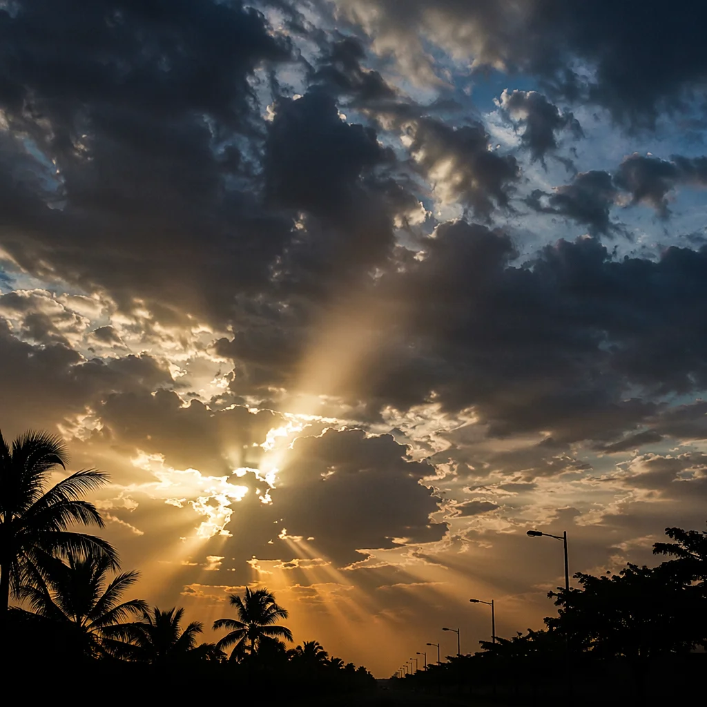 Peaceful Sunrise After Storm Over Palms
