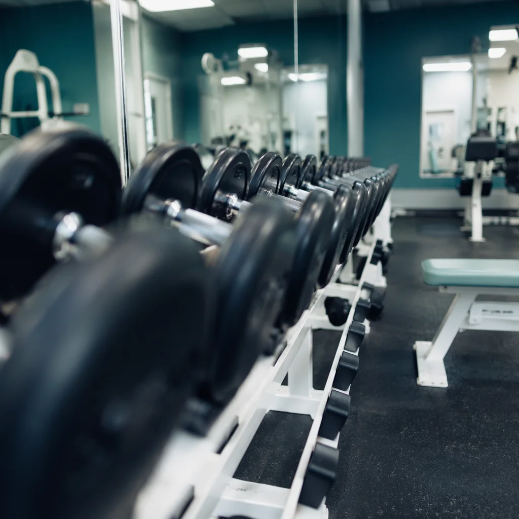 Modern Rehabilitation Gym Dumbbell Rack