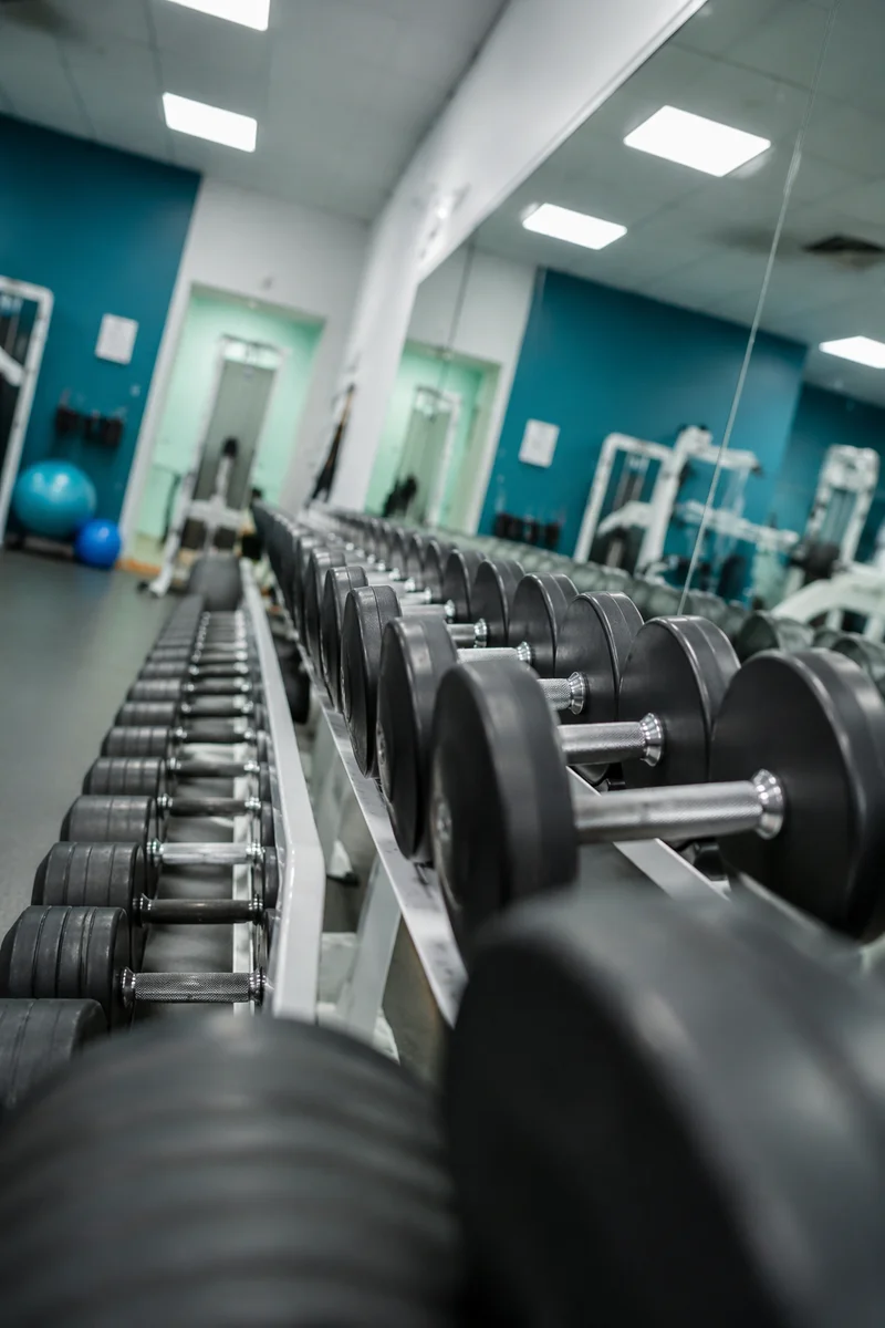 Modern Rehabilitation Gym Dumbbell Rack