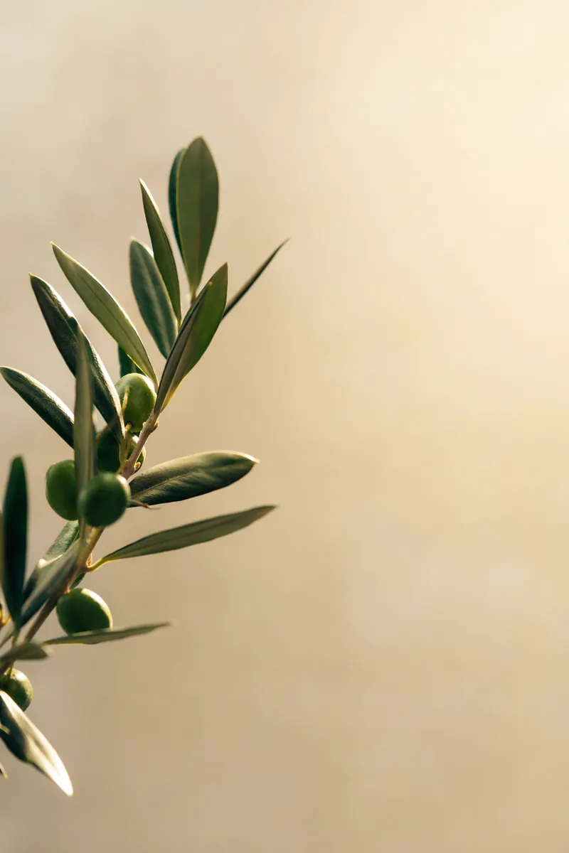 Botanical Background 3