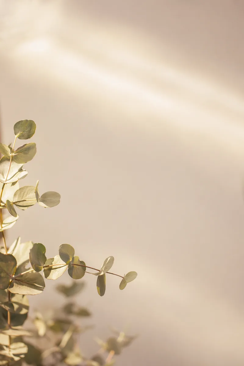 Botanical Background 8