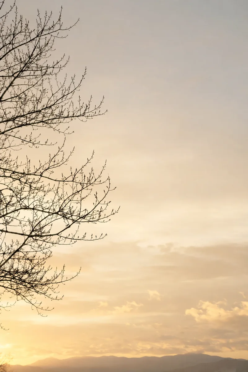 Grief Background 6