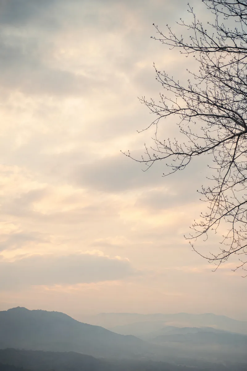 Grief Background 8