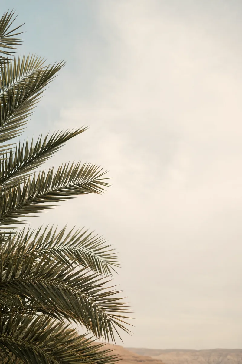 Palmsunday Background 10