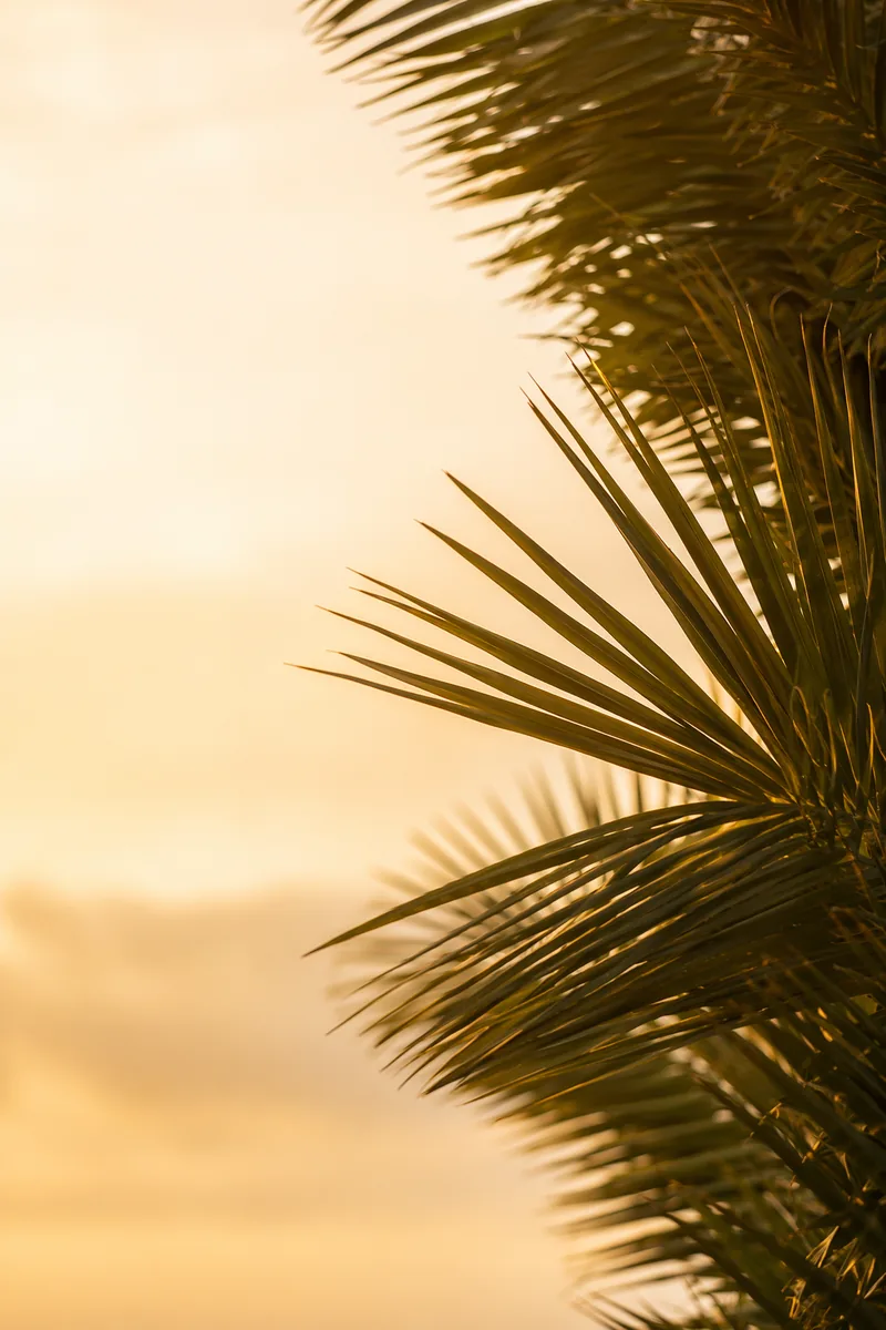 Palmsunday Background 3