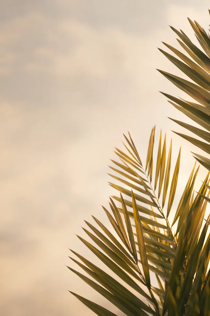 Palmsunday Background 4