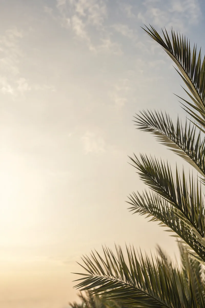 Palmsunday Background 8