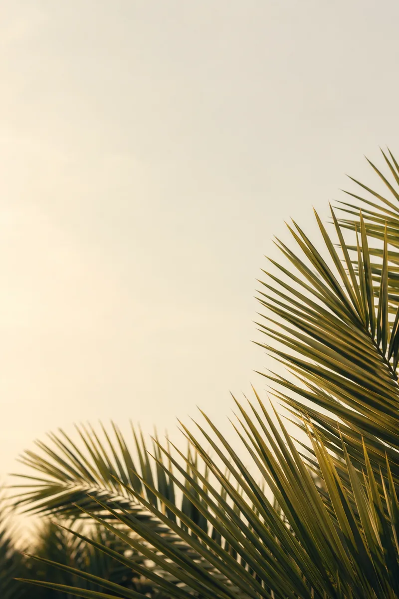 Palmsunday Background 9
