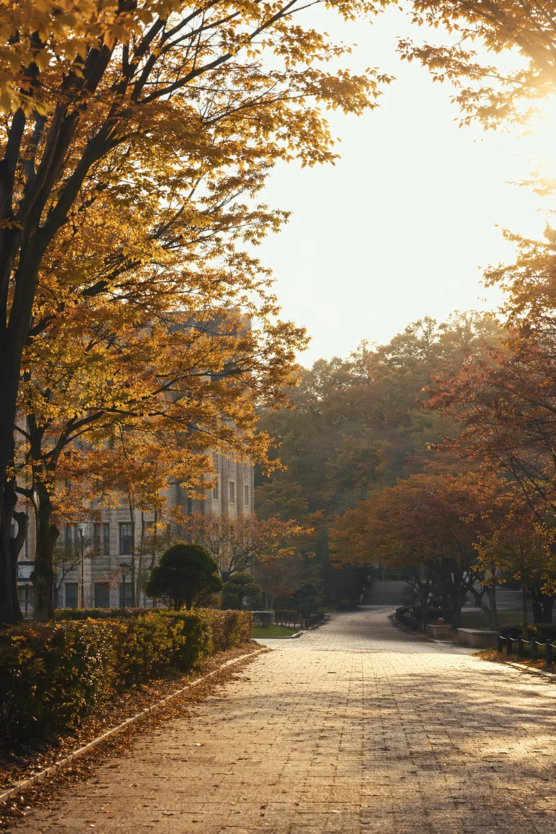 Campus Background 11
