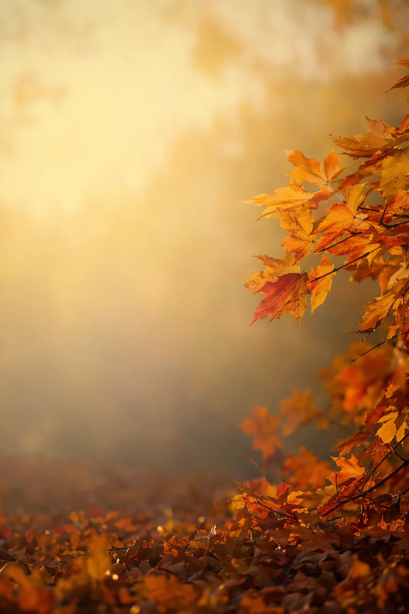 Elderly Background 8