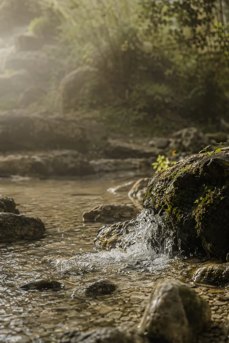 Livingwater Background 3