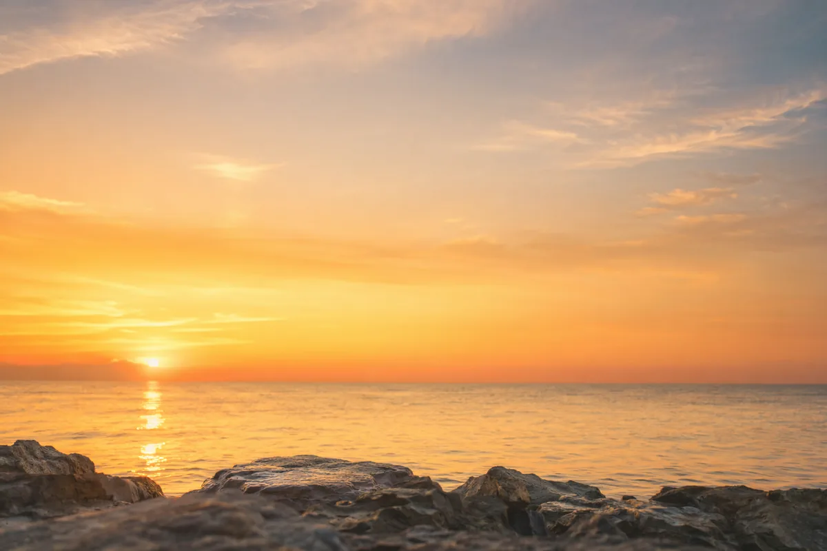 Nature Background 2