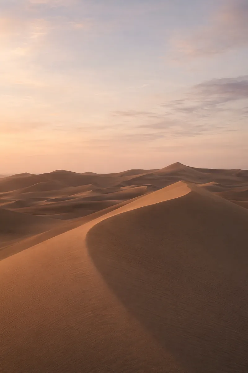Desert Background 2