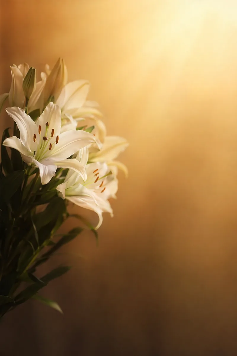 Flora Background 5