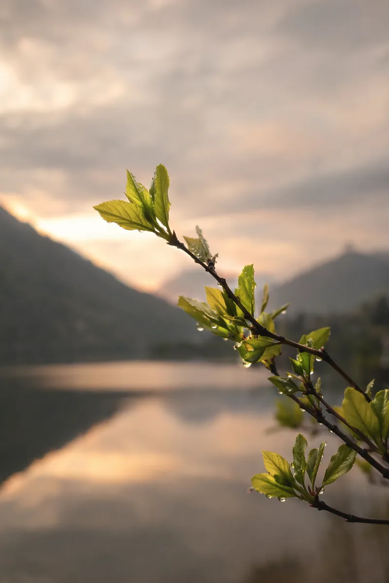 Spring Background 6