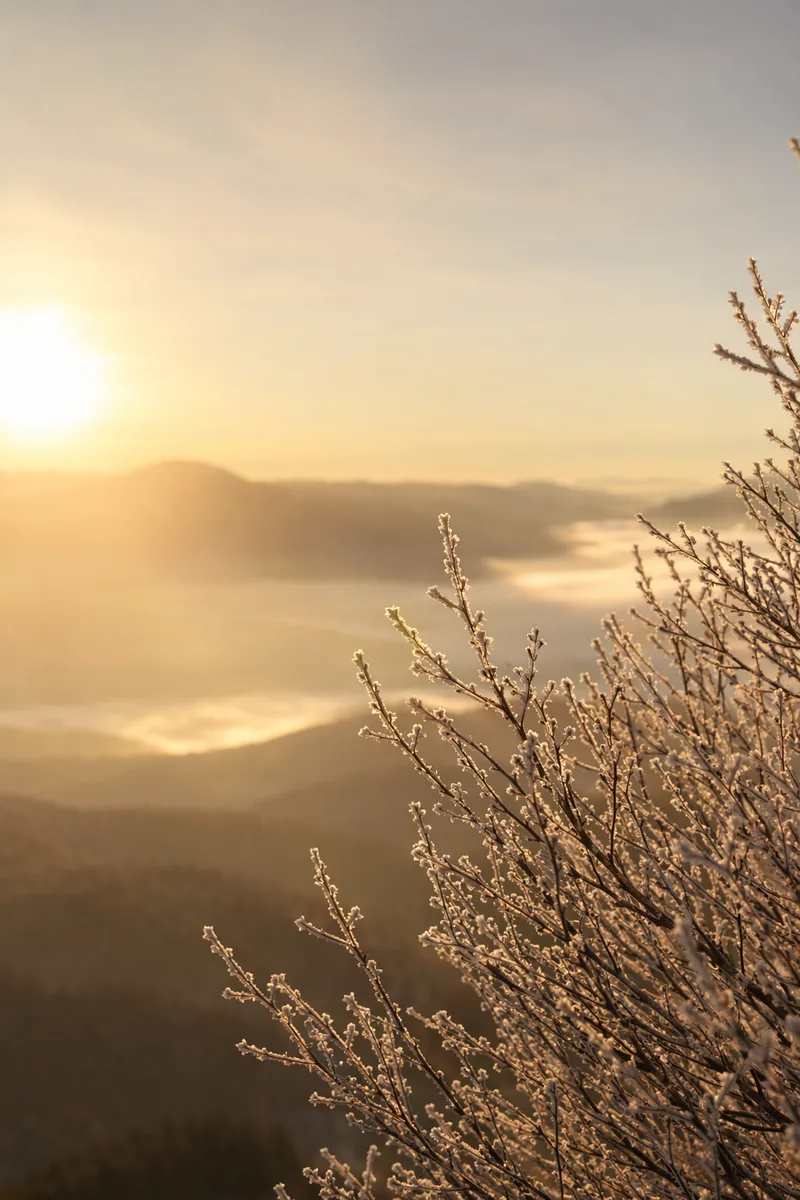 Winter Background 5