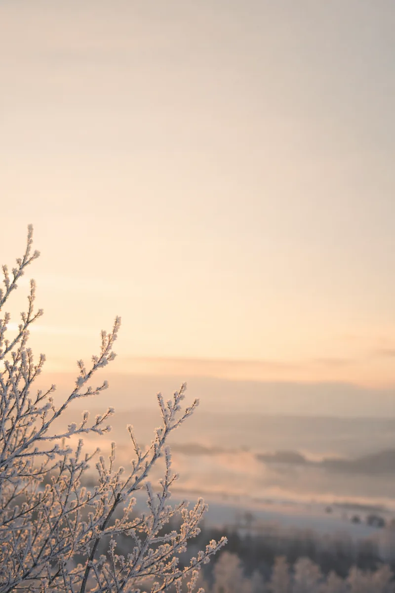 Winter Background 6