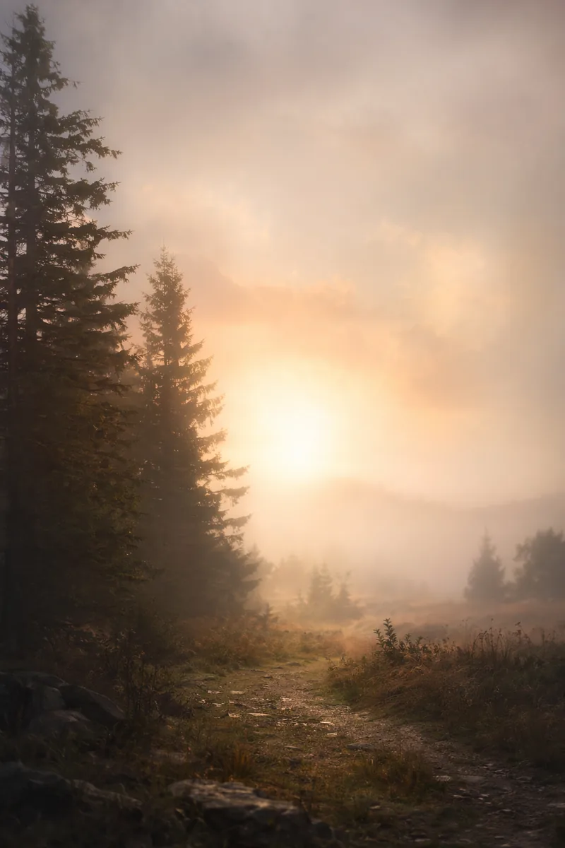 Seeking Background 9