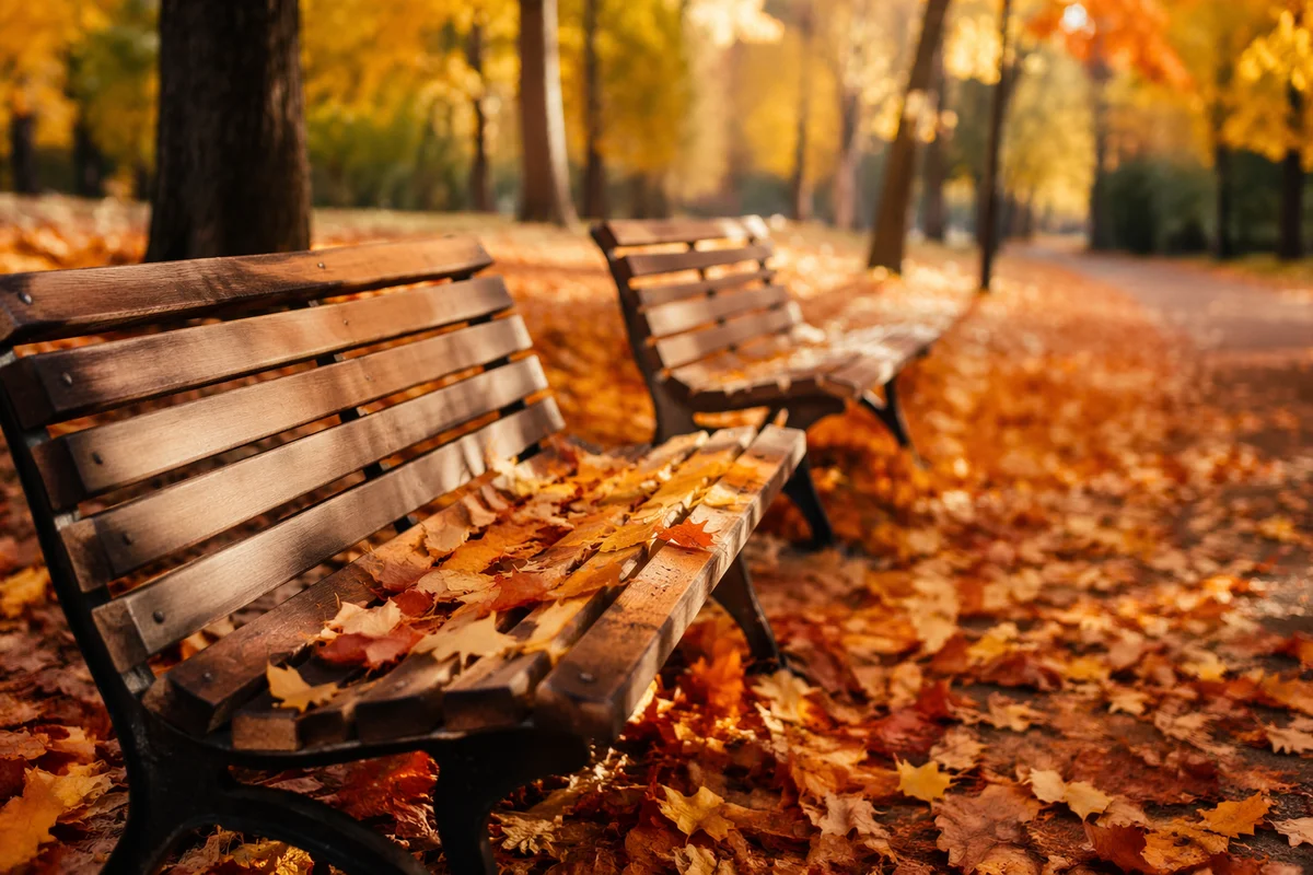 Peaceful Autumn Park Benches with Golden Leaves