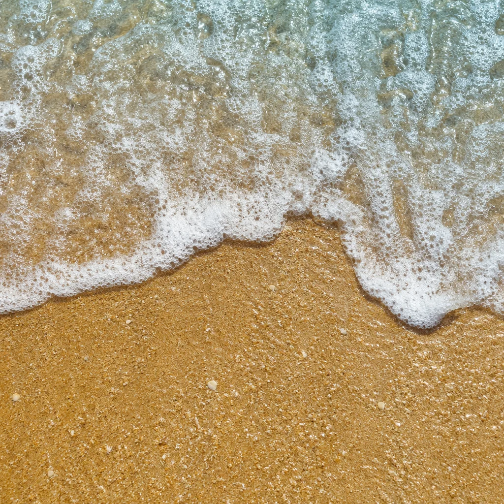 Tropical Wave Washing Over Golden Sand