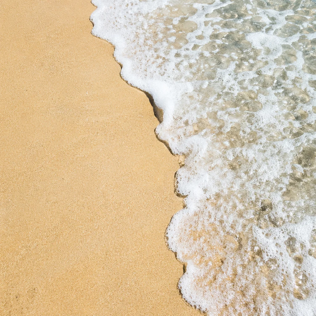 Tropical Shoreline Wave on Golden Sand