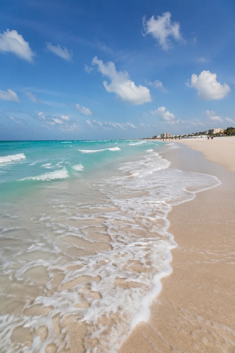 Peaceful Tropical Shoreline With Turquoise Summer Waves