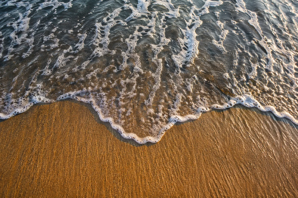 Tropical Shoreline Foam Over Golden Sand