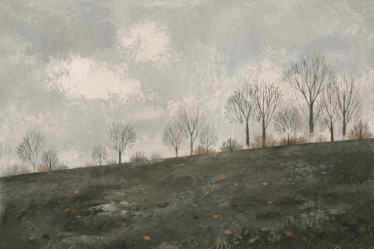 Quiet Green Field Under Gray Sky