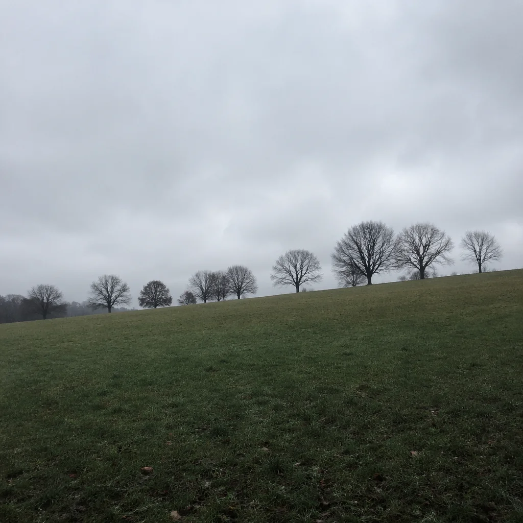 Quiet Green Countryside Under Overcast Sky