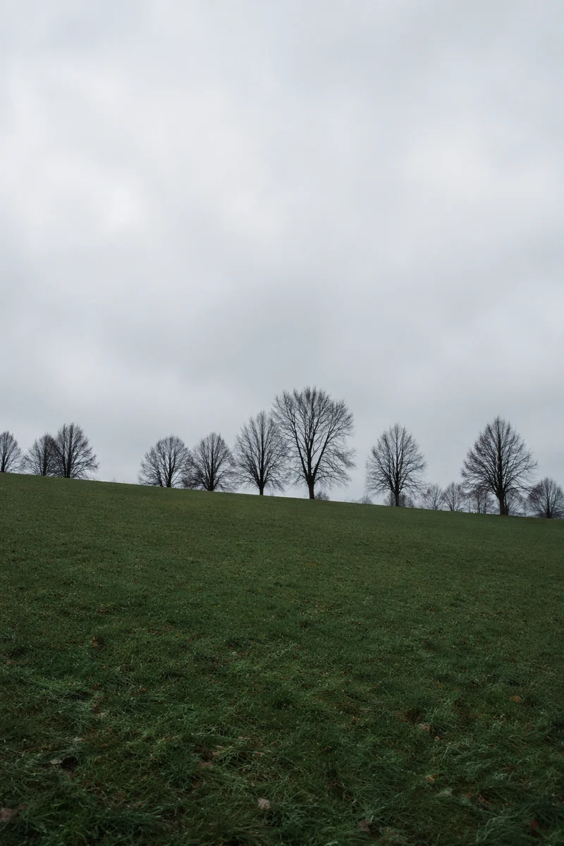 Quiet Green Field Under Overcast Sky