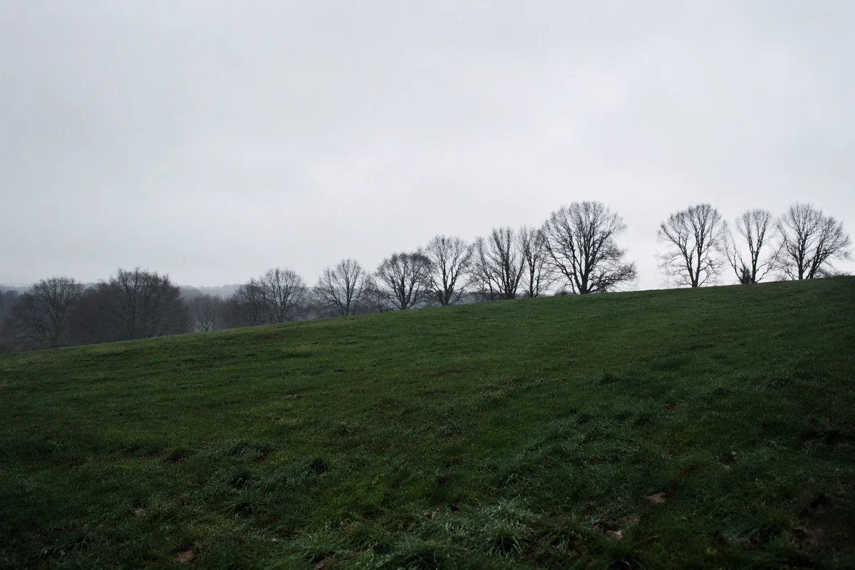 Quiet Green Field Under Overcast Sky