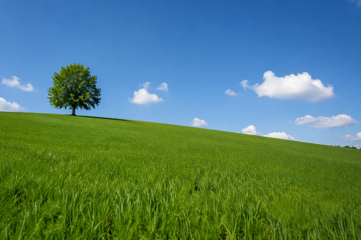 Peaceful Green Countryside Under Blue Sky
