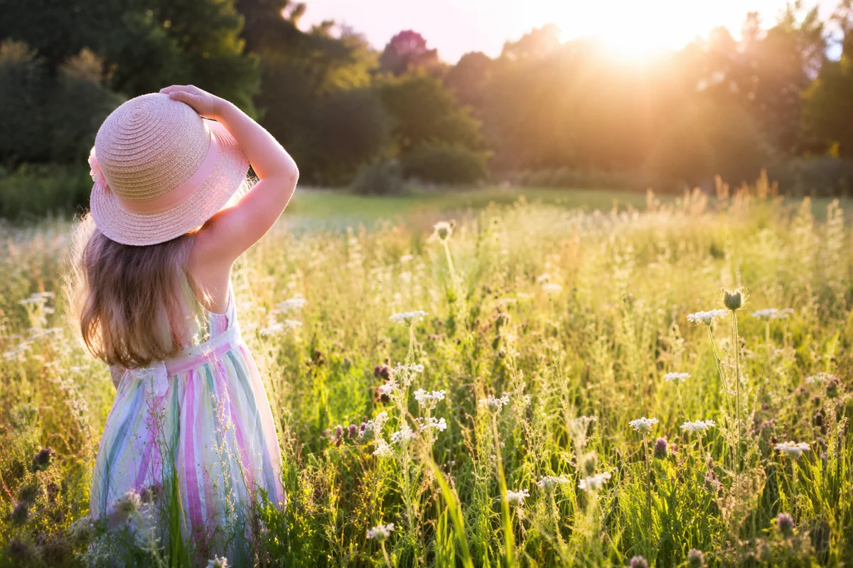 Child in Sunny Summer Wildflower Meadow