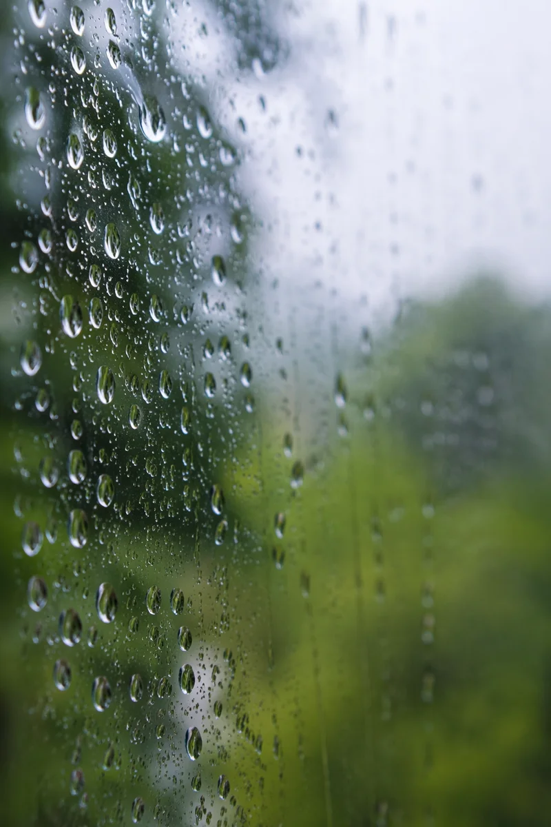 Rain Drops on Blurred Window Glass