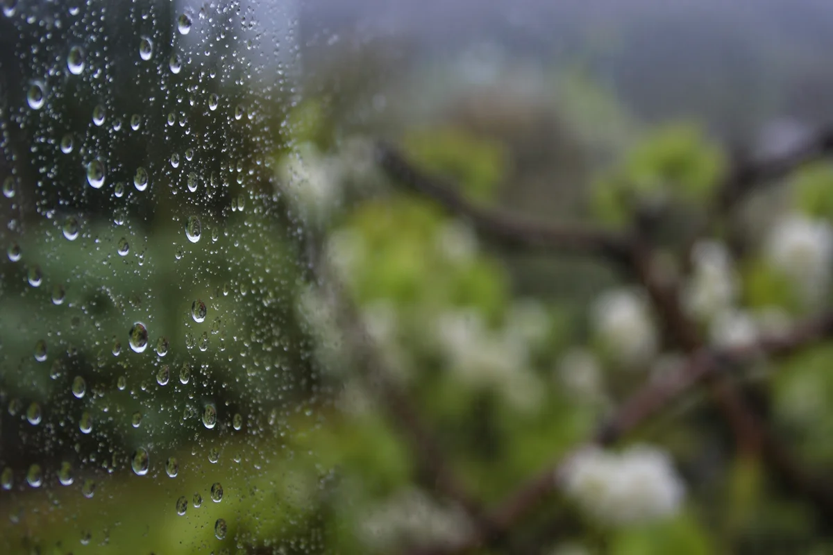 Rain Droplets on Window with Blurred Garden
