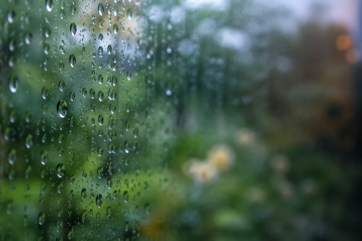 Rain Drops on Window with Blurred Garden
