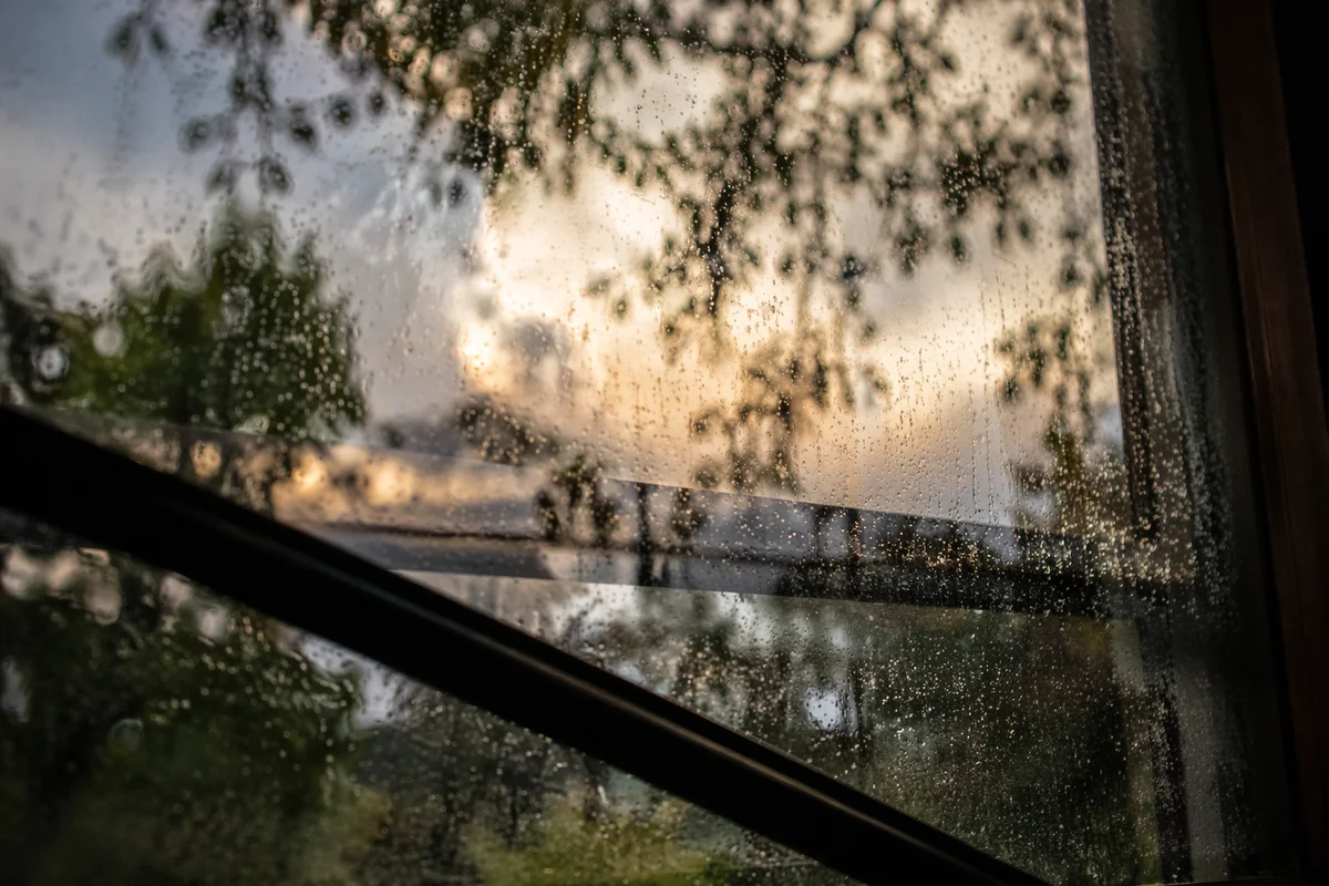 Rain Droplets on Window with Reflected Trees